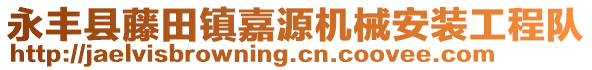 永豐縣藤田鎮(zhèn)嘉源機(jī)械安裝工程隊(duì)