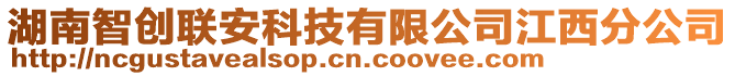 湖南智創(chuàng)聯(lián)安科技有限公司江西分公司