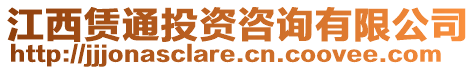 江西賃通投資咨詢有限公司