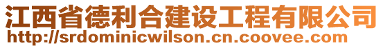 江西省德利合建设工程有限公司