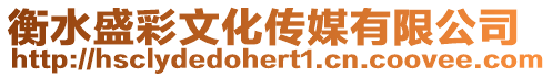 衡水盛彩文化傳媒有限公司
