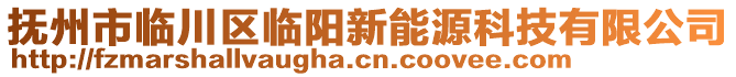 撫州市臨川區(qū)臨陽新能源科技有限公司