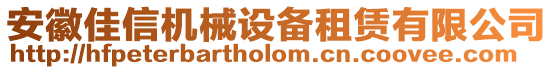 安徽佳信機械設備租賃有限公司