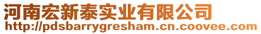 河南宏新泰實(shí)業(yè)有限公司