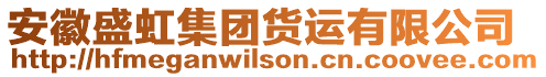 安徽盛虹集團(tuán)貨運(yùn)有限公司