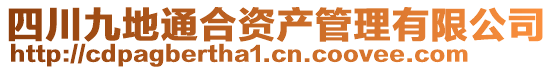 四川九地通合資產(chǎn)管理有限公司