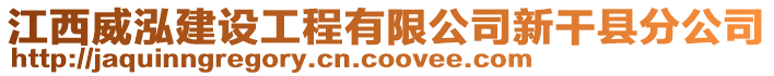 江西威泓建設(shè)工程有限公司新干縣分公司