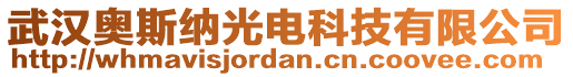 武漢奧斯納光電科技有限公司