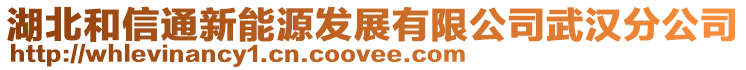 湖北和信通新能源发展有限公司武汉分公司