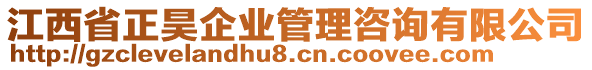 江西省正昊企业管理咨询有限公司