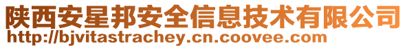 陜西安星邦安全信息技術有限公司