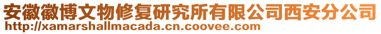 安徽徽博文物修復(fù)研究所有限公司西安分公司