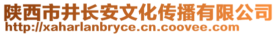 陜西市井長(zhǎng)安文化傳播有限公司