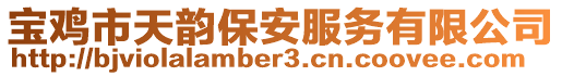 寶雞市天韻保安服務(wù)有限公司