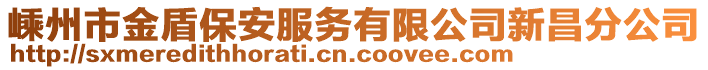 嵊州市金盾保安服務(wù)有限公司新昌分公司