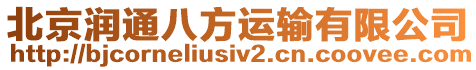 北京潤通八方運輸有限公司