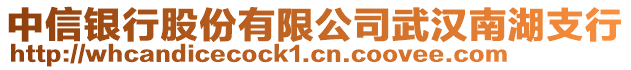 中信銀行股份有限公司武漢南湖支行