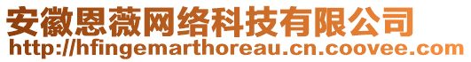 安徽恩薇網(wǎng)絡(luò)科技有限公司