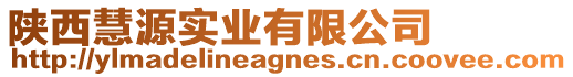 陜西慧源實業有限公司