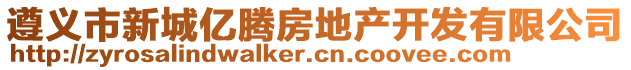 遵義市新城億騰房地產(chǎn)開發(fā)有限公司