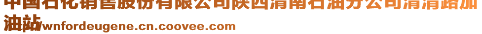 中國(guó)石化銷售股份有限公司陜西渭南石油分公司渭清路加
油站