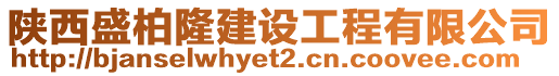 陜西盛柏隆建設工程有限公司