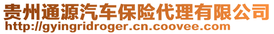 貴州通源汽車保險(xiǎn)代理有限公司