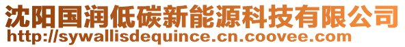 沈陽(yáng)國(guó)潤(rùn)低碳新能源科技有限公司