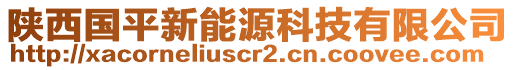 陜西國平新能源科技有限公司