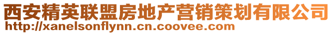 西安精英聯(lián)盟房地產(chǎn)營(yíng)銷(xiāo)策劃有限公司