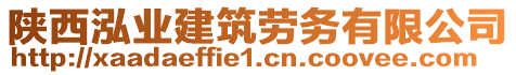 陜西泓業(yè)建筑勞務有限公司