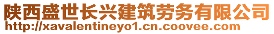 陜西盛世長(zhǎng)興建筑勞務(wù)有限公司