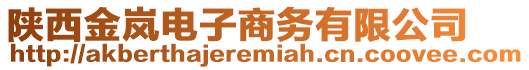 陜西金嵐電子商務(wù)有限公司