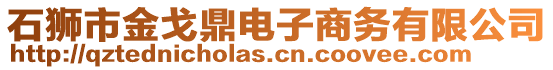 石獅市金戈鼎電子商務(wù)有限公司