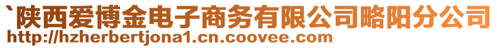 `陜西愛博金電子商務有限公司略陽分公司