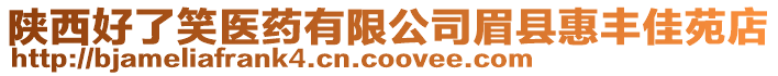 陜西好了笑醫(yī)藥有限公司眉縣惠豐佳苑店