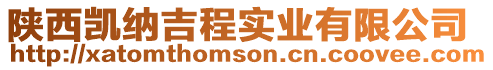 陜西凱納吉程實業有限公司