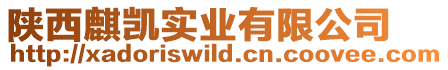 陜西麒凱實業(yè)有限公司