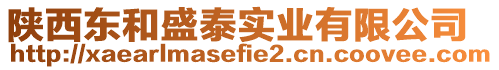 陜西東和盛泰實業有限公司