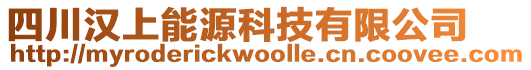 四川漢上能源科技有限公司