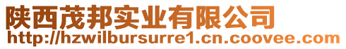 陜西茂邦實(shí)業(yè)有限公司