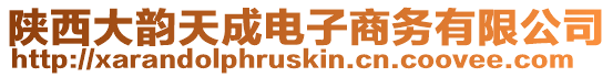 陜西大韻天成電子商務(wù)有限公司