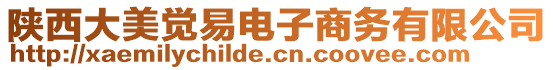 陜西大美覺(jué)易電子商務(wù)有限公司