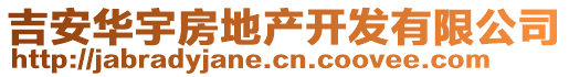 吉安華宇房地產(chǎn)開發(fā)有限公司