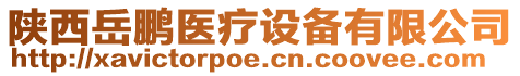 陜西岳鵬醫療設備有限公司