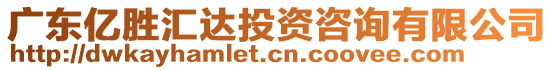 廣東億勝匯達(dá)投資咨詢有限公司