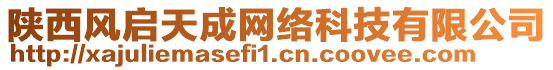 陜西風(fēng)啟天成網(wǎng)絡(luò)科技有限公司