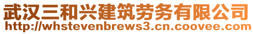 武漢三和興建筑勞務有限公司