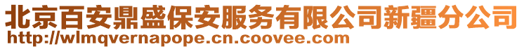 北京百安鼎盛保安服務有限公司新疆分公司