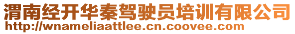 渭南經(jīng)開華秦駕駛員培訓(xùn)有限公司